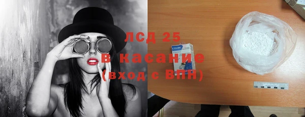 прущие грибы Магадан
