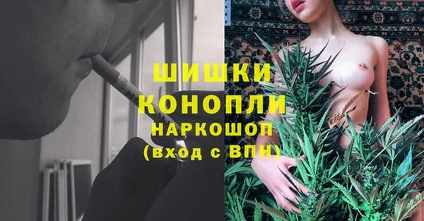 прущие грибы Магадан