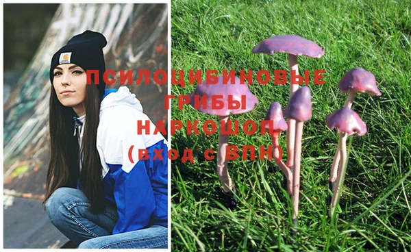 круглые Липки